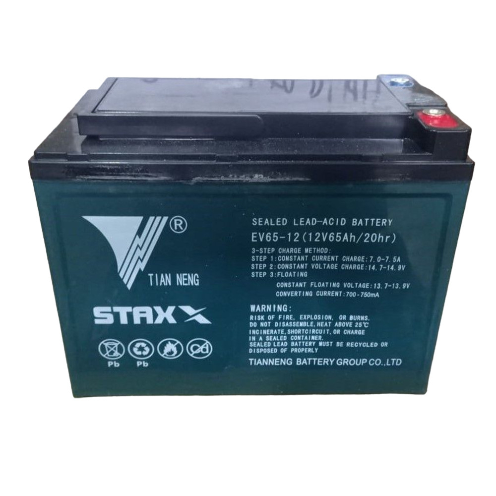 Аккумулятор гелевый TOR 1002565 для тележек WPT15-2 12 В 65 Ач