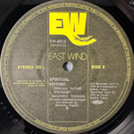 Masahiko Togashi – Spiritual Nature (Япония 1975г.)