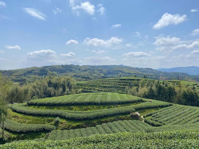 Друзья, привет всем от наших Партнеров из Китая