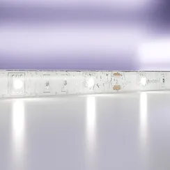 Светодиодная лента 12В 5050 7,2Вт/м 6000K 5м IP65 Led Strip 10125