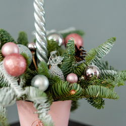 Новогодняя композиция из нобилиса 7