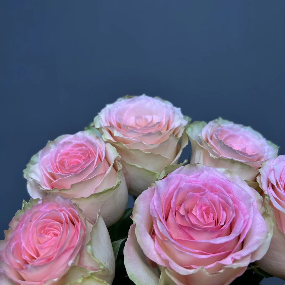 Букет роз 9 штук под ленту (э)