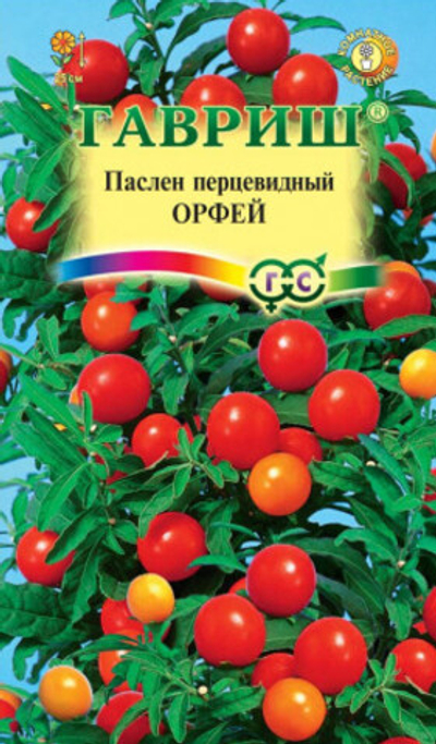 Паслен "Орфей" 12шт Гавриш