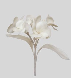 TR 614HM2 Плумерия 5 бутонов с листьями