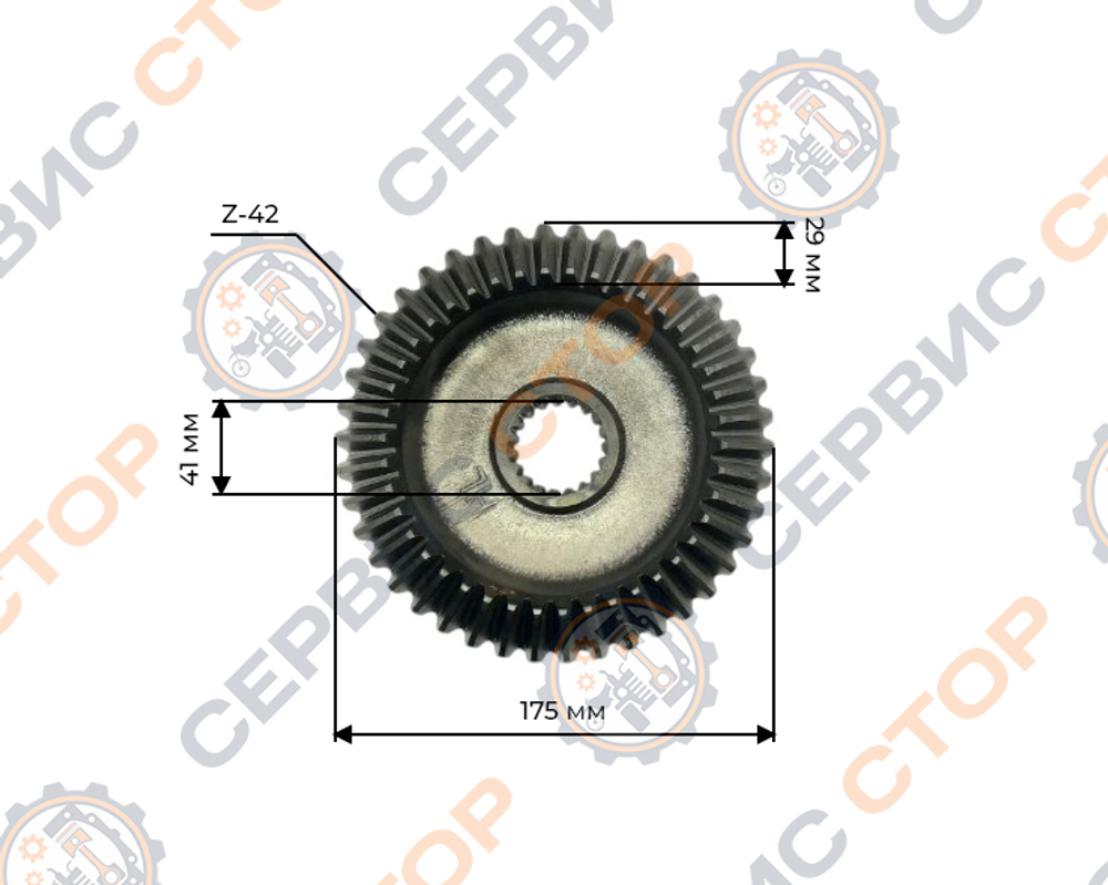 Z-4219-ZY254-RT