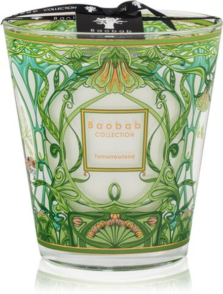 Baobab Collection Tomorrowland - ароматическая свеча /  16 cm   / GTIN 5415198502611