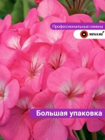 Пеларгония Павла F1 фиолетово-розовая белая семена 15шт