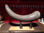 Рог первобытного бизона