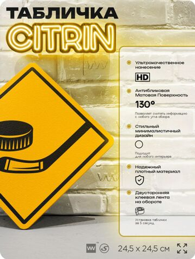 Табличка декоративная "Клюшка и шайба" на дверь и стену, спортивная, информационная, декоративный знак, 24,5х24,5 см, пластиковая, Айдентика Технолоджи