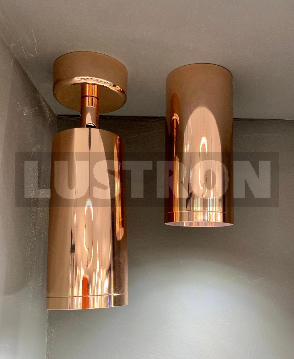 Накладной светильник Maytoni C010CL-01RG