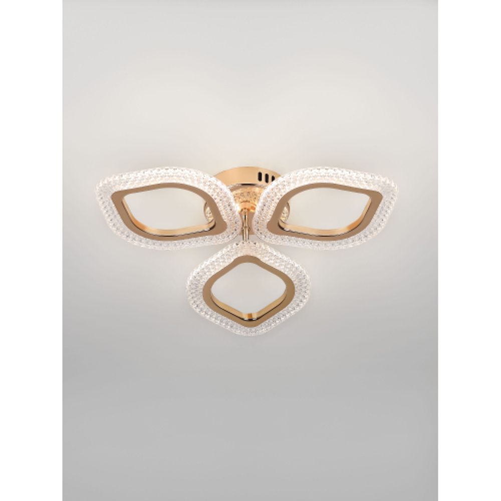 Светильник потолочный светодиодный Rivoli Erminia 6177-703 LED 36Вт 3000-6000К с пультом | Rivoli