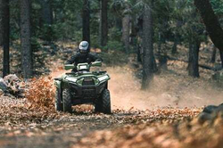 Квадроцикл Kawasaki Brute Force 750 LE EPS (2024) (ПСМ)