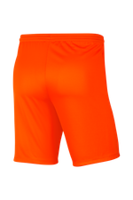 Шорты Nike Dry Park III