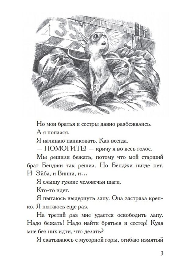 Честное мышиное