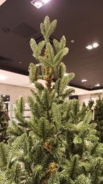 Искусственная ель на ножке «Датская» (хвоя литая) 180 см / 1,8 м