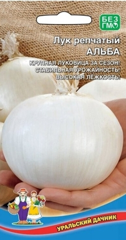 Лук репчатый Альба