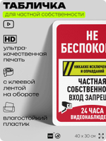 Табличка для частной территории "Не беспокоить, частная собственность", на дом, для участка, организаций, предупреждающая, 40х30 см, Silver Plane x Айдентика Технолоджи