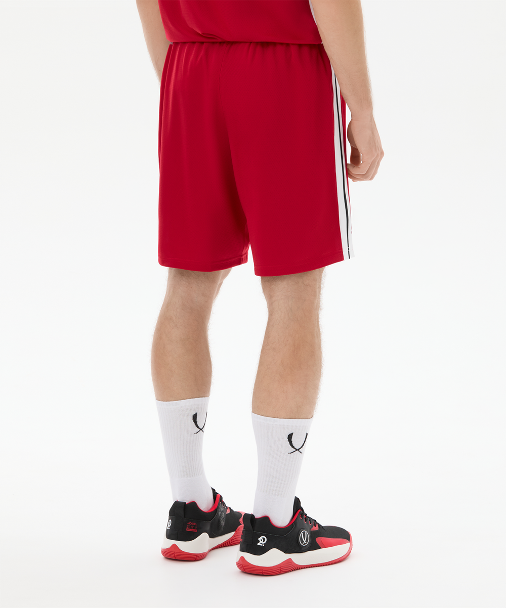 Шорты баскетбольные JÖGEL DIVISION PerFormDRY Shorts R2, красный
