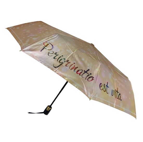 Женский зонт Три Слона - Полный автомат 3852-A-03