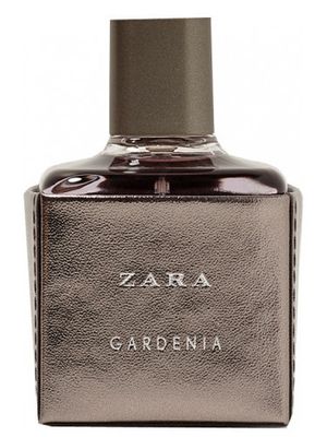 Zara Gardenia 2017