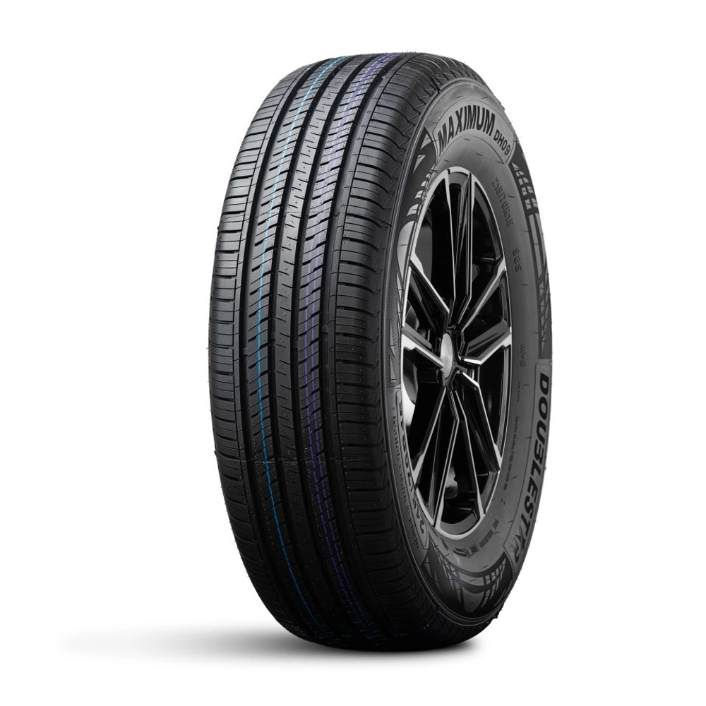 Летняя шина DoubleStar DH09 (205/65 R16 95H)