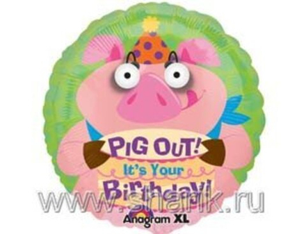 А 18" HB Поросенок Глаза-3D S60