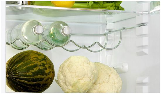 Холодильник Snaige RF58SM-S5MP210 (D91Z1C5SNBX)