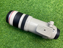 Canon EF 35-350mm f/3.5-5.6L USM