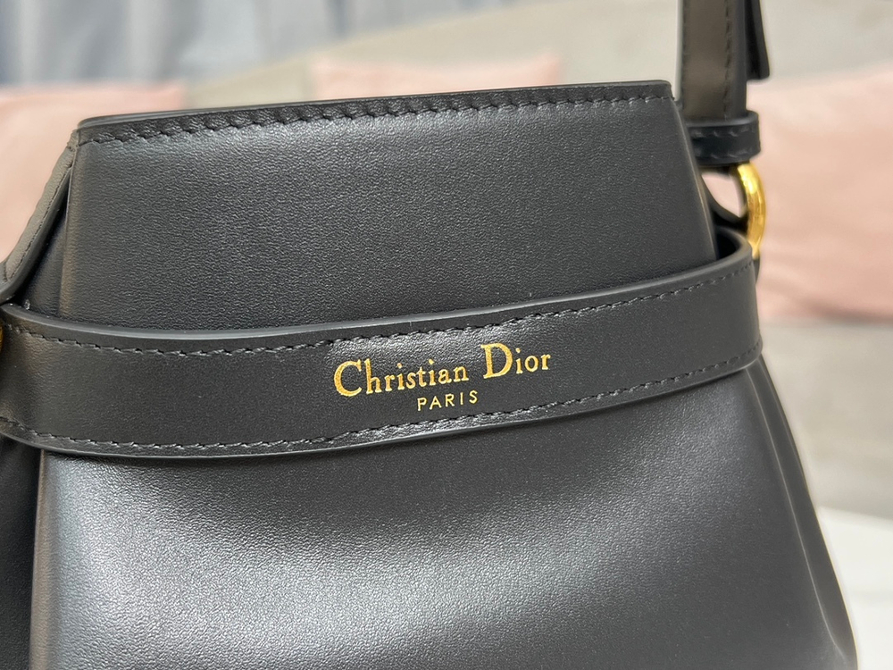 Christian Dior Medium C'est Dior Bag