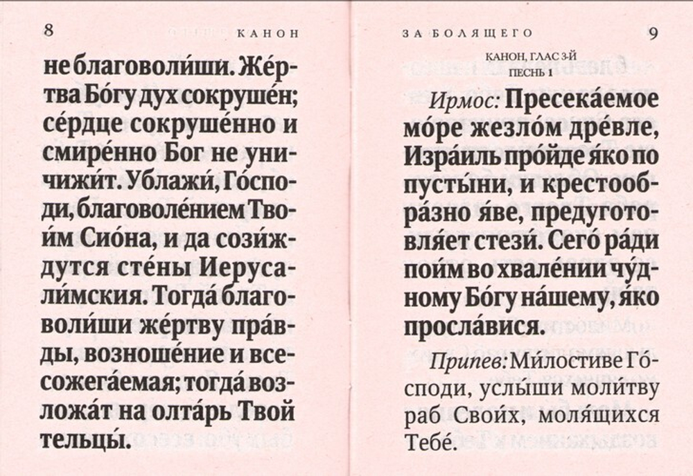 Канон за болящего. С приложением молитв Божией Матери и святым об исцелении болящих (карманный формат)