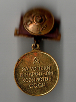 Нагрудный знак СССР "За успехи в народном хозяйстве, ВДНХ" на закрутке.