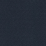 Квадро Черника ПГ 600