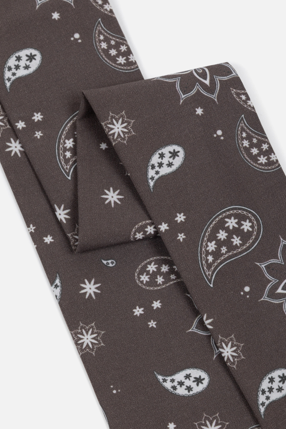 Твилли Paisley