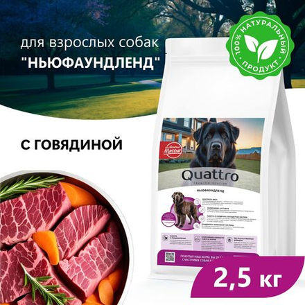 Корм сухой для взрослых собак породы Ньюфаундленд, премиум полнорационный комплекс, с говядиной, 2,5 кг, QUATTRO