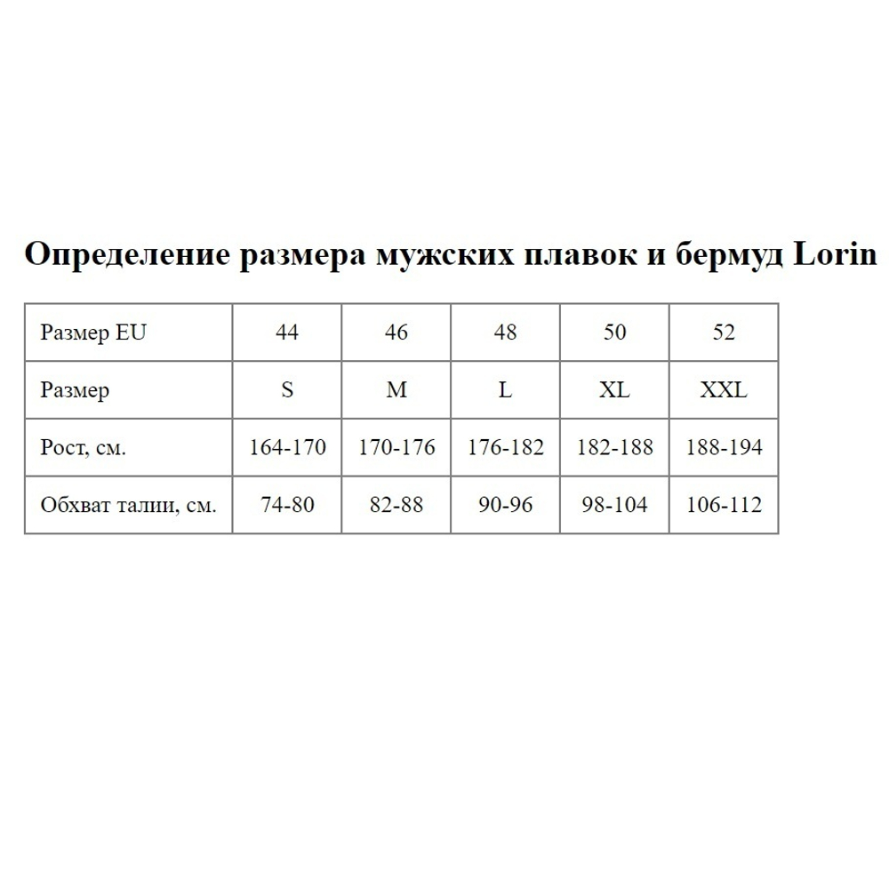 Мужские плавки-шорты (Размер: XL) (Цвет: черный)