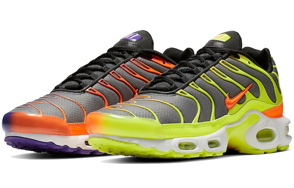 Кроссовки Nike Air Max Plus Color Flip