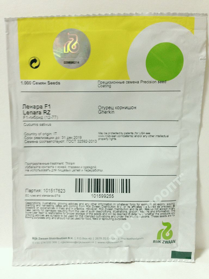 Ленара F1 семена огурца партенокарпического (Rijk Zwaan  Райк Цваан) (3) – фото 5