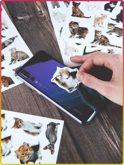 Наклейки стикеры кошки, котики, наклейки коты, детские