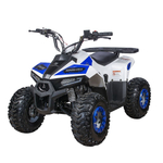 Квадроцикл YACOTA Raposa