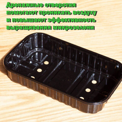 Лотки для выращивания черного цвета 30 штук, 175*100*40 (дно 165*95), пластиковые контейнеры, лотки для выращивания микрозелени, контейнеры для проращивания рассады, вес 10гр