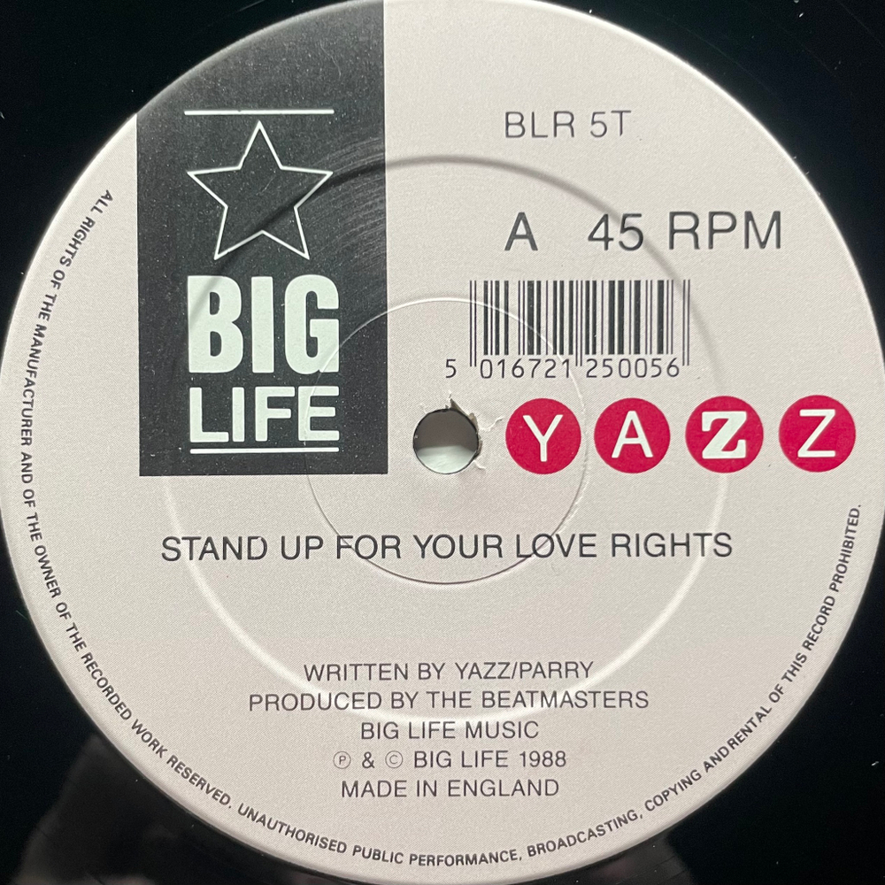 Yazz ‎– Stand Up For Your Love Rights (Англия 1988г.) 12", 45 RPM
