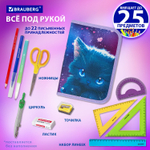 Пенал BRAUBERG 1 отделение 1 откидная планка полиэстер 21х14 см "Anime cat" (2 штуки в упаковке)