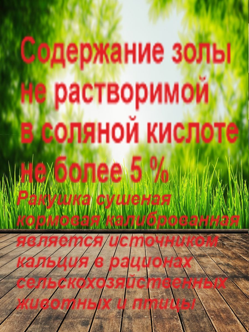 Ракушка морская кормовая для птиц