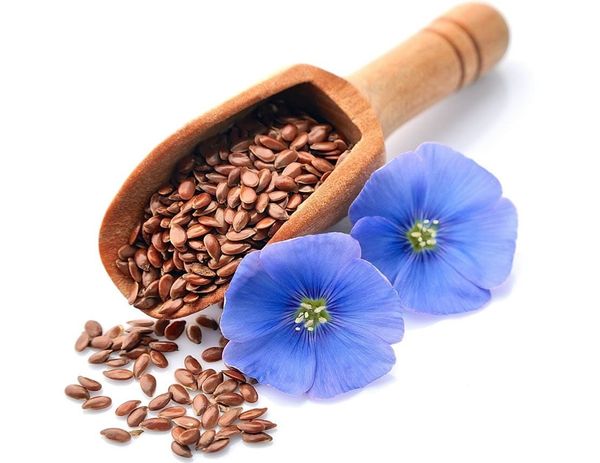 Лен, ты мой лен…