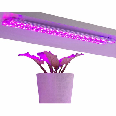 Светильник для растений светодиодный, 96 LED ламп, 10Вт, White