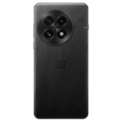 OnePlus 13