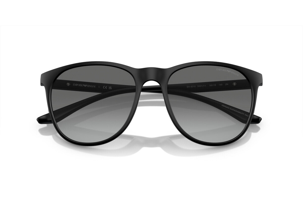 Emporio Armani EA4210 500111
