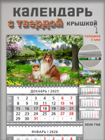 Настенный квартальный трехблочный календарь "Собаки колли"