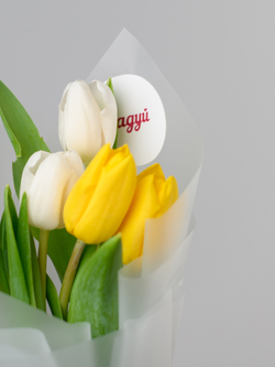 Тюльпаны микс