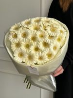 Монобукет из 25 минигербер